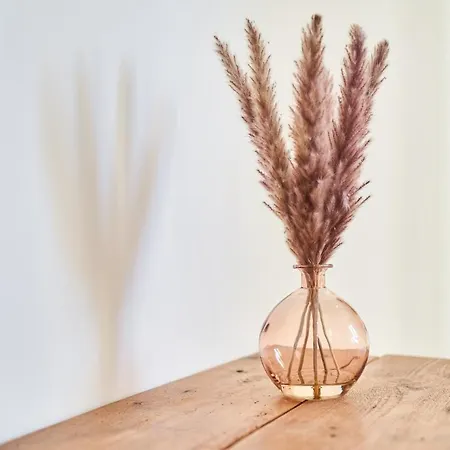 Autumn, Centre-ville Gare, Spacieux, Netflix * Reims